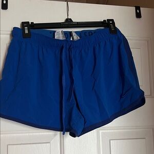 Nike Dri-FIT Royal Blue Shorts